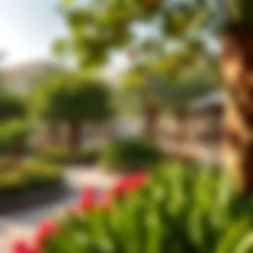 A vibrant park in Al Rashidiya showcasing lush greenery