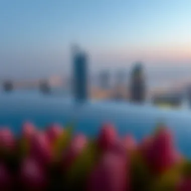 Infinity Pool with Dubai Skyline View Infinity pool overlooking the Dubai skyline at Anantara Residences
