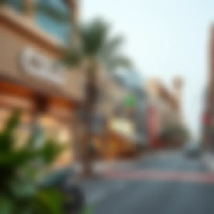 Bustling Commercial Area with Local Businesses in Arjan Al Barsha South 3 A bustling commercial area in Arjan Al Barsha South 3, illustrating local businesses and amenities