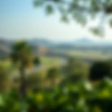 Serene Landscapes of Barari Park Serene landscapes depicting the park's tranquil environment