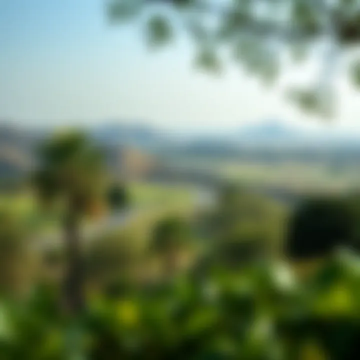 Serene Landscapes of Barari Park Serene landscapes depicting the park's tranquil environment