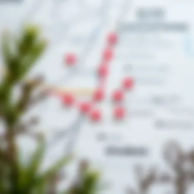 Map of Dubai highlighting affordable studio locations
