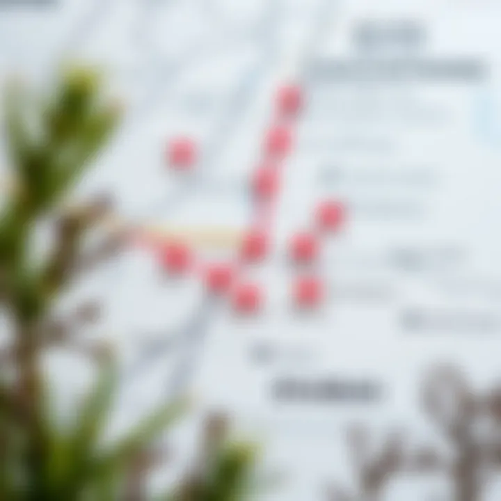 Map of Dubai highlighting affordable studio locations