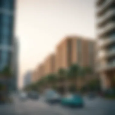 Sustainable Urban Spaces in Dubai Sustainable urban spaces as a result of effective governance