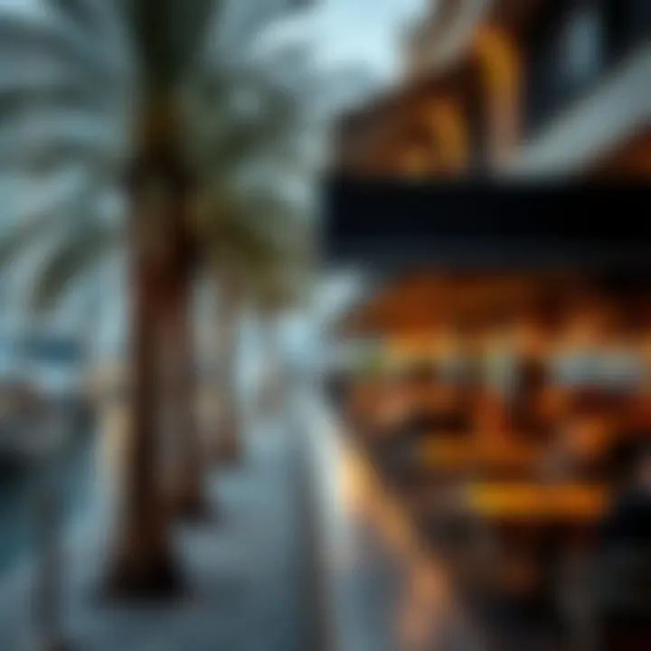 Affordable Dining in Dubai A scenic view of affordable dining options along Dubai's waterfront.