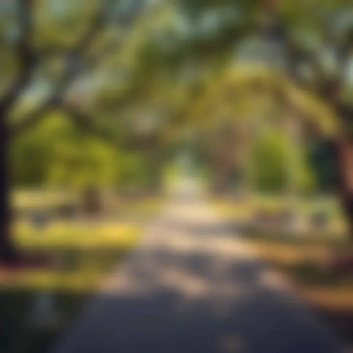 A serene park providing a safe environment