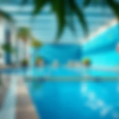 A vibrant community pool showcasing affordable options