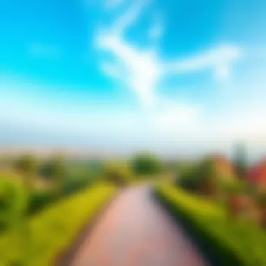 Lush Greenery and Scenic Pathways Panoramic view of Al Sufouh Park showcasing its lush greenery and pathways