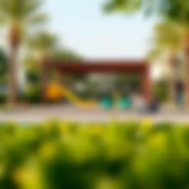 Recreational area at Al Tawayya Park with families enjoying outdoor activities