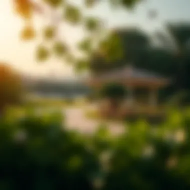 Scenic view of Al Tawayya Park showcasing lush greenery