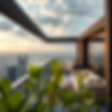 Panoramic view from one of the balconies in Bella Rose Tower