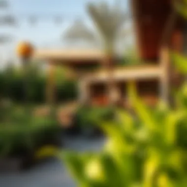 Serene Outdoor Café Setting A tranquil outdoor seating area surrounded by lush greenery