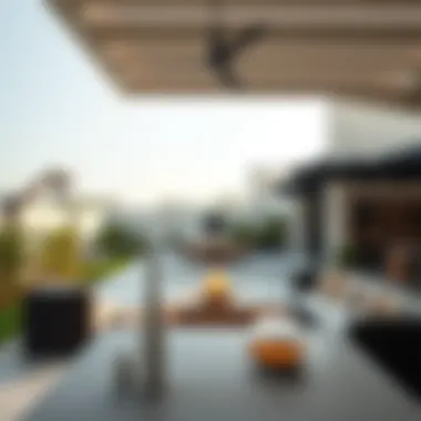 Luxurious Outdoor Living Spaces in Dubai Farmhouses Luxurious outdoor space of a Dubai farmhouse