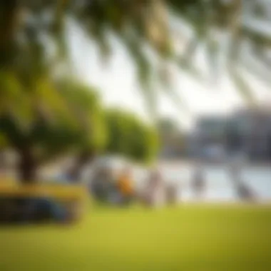 The lush green park area adjacent to Mamzar Beach, perfect for family picnics