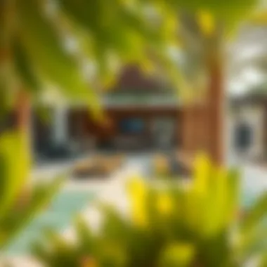 A vibrant outdoor workout space in Dubai featuring unique amenities