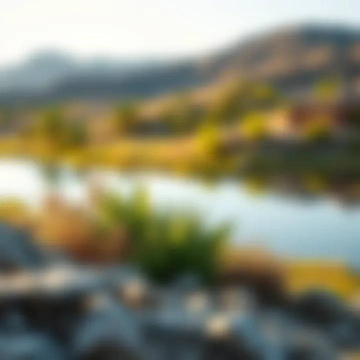 Eco-friendly initiatives at Hatta Lakes