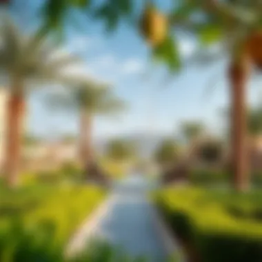 Serene Parks and Green Spaces in Jumeirah Heights West Lush greenery and beautifully landscaped parks in Jumeirah Heights West