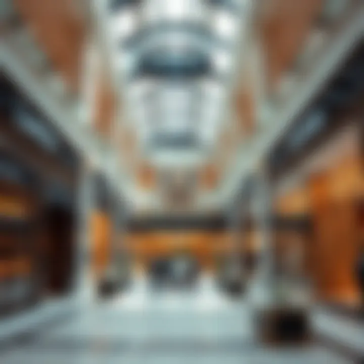 Luxury Shopping Experience Luxurious shopping area filled with high-end boutiques and elegant displays