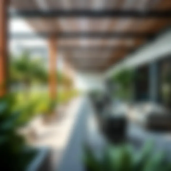 Sustainable Community Space with Green Landscapes Sustainable community space in a Modon development featuring green landscapes