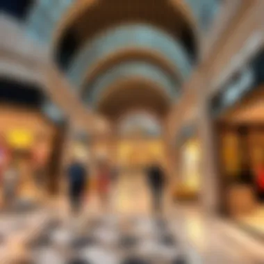 Luxurious Shopping at اوتليت دبي Luxurious shopping scene at اوتليت دبي