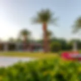 Dubai's Lush Pet-Friendly Park Beautiful pet-friendly park in Dubai with lush greenery and open space