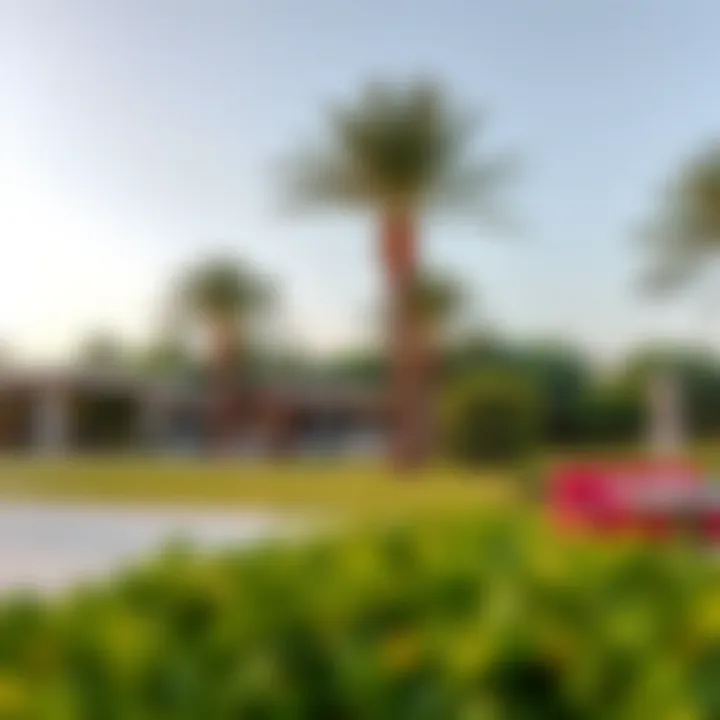 Dubai's Lush Pet-Friendly Park Beautiful pet-friendly park in Dubai with lush greenery and open space