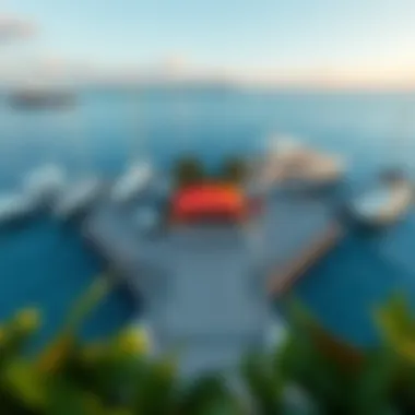 Dock at a Private Island with Yachts Exclusive dock with yachts and boats anchored at a private island