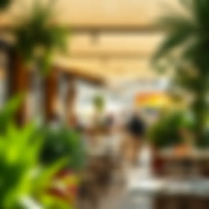 A sunlit terrace of a bustling café, showcasing vibrant plants and inviting outdoor seating