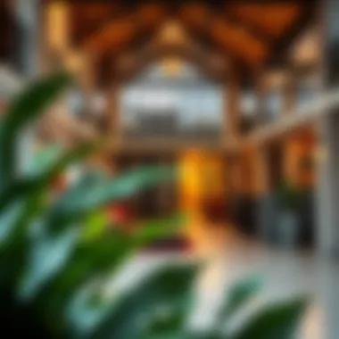 Community Spaces in Citadines Culture Village Vibrant community spaces in Citadines Culture Village