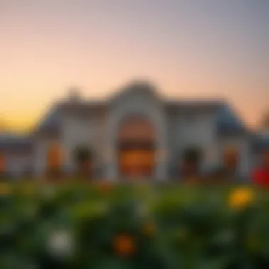 Luxurious Clubhouse at Damac Hills 2 Luxurious clubhouse at Damac Hills 2 with elegant architecture