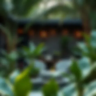 Unique Garden Design Featuring Exotic Plants Unique garden design showcasing exotic plants