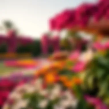 A Vibrant Floral Display in Dubai's Garden Vibrant floral display in Dubai's lush garden
