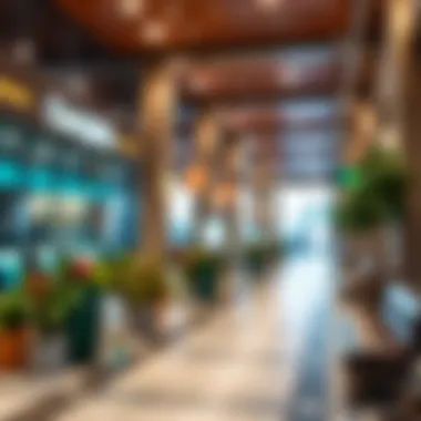 Local Amenities Near Damac Celestia Close-up of local amenities near Damac Celestia