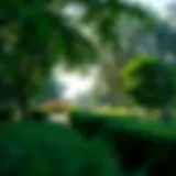 Lush greenery enveloping the park's pathways