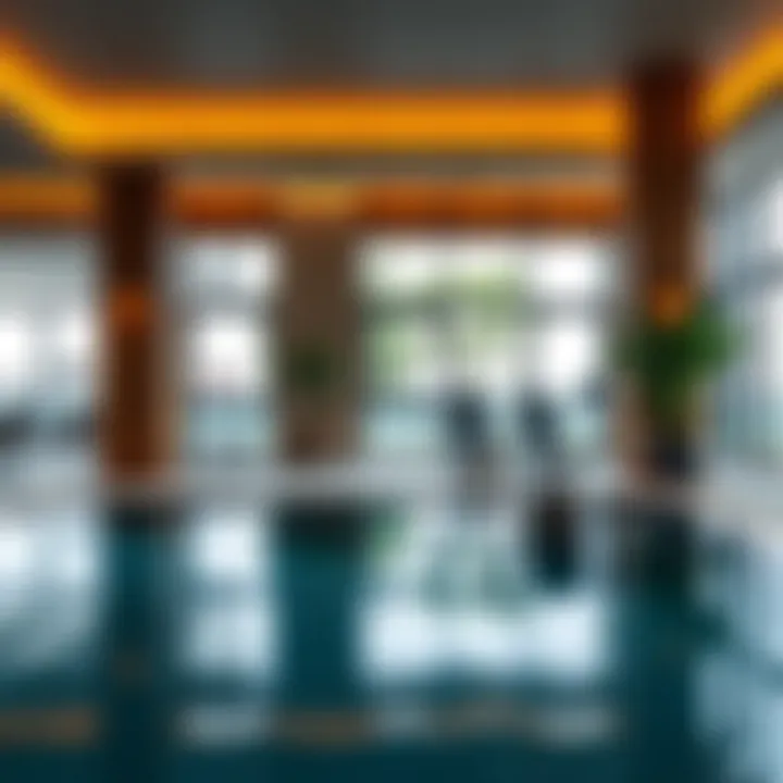 Amenities available at Floarea Residence, including pool and gym