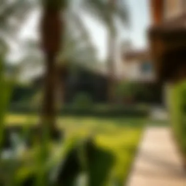 Tranquil Garden Enhancing the Luxury Experience Serene landscaped garden surrounding a luxury home