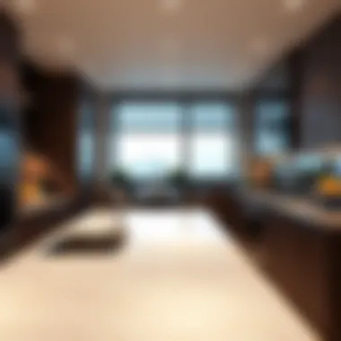 Modern Kitchen with Gourmet Appliances Gourmet kitchen showcasing modern appliances in the Millennium Montrose Executive Apartment