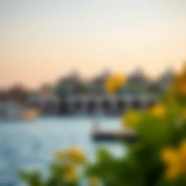 Luxurious Waterfront Living in Mina Al Arab A stunning view of the Mina Al Arab waterfront showcasing luxury villas and serene waters.