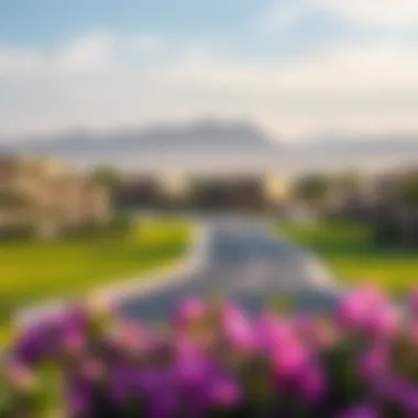 Beautiful landscape surrounding Mira Estate