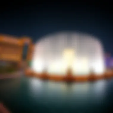 A panoramic view of the Dubai Mall area at night, featuring the musical fountain illuminated against the skyline.