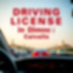 A detailed guide to driving licenses in Dubai