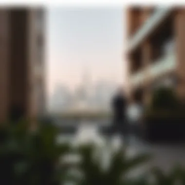 Legal Considerations for Expatriates Legal Framework Surrounding Visa Overstays