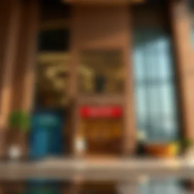 Representation of various bank account types in the UAE