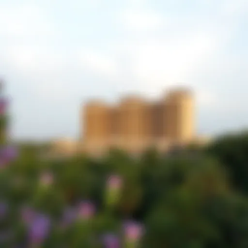 Rove Hotels Amidst Nature's Embrace Scenic view of Rove Hotels surrounded by lush greenery