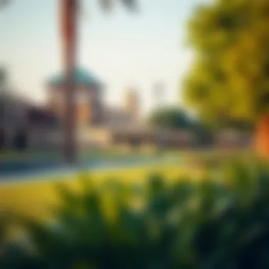 Recreational Spaces in Satwa A serene park in Satwa, perfect for relaxation