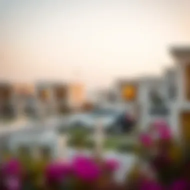 Diverse Property Types in Dubai's Real Estate Market Different types of homes available in Dubai