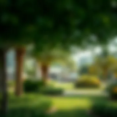 Lush Greenery in Tilal Al Ghaf Well-maintained green spaces and parks