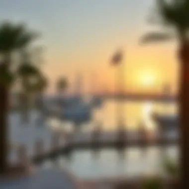 Scenic landscape of Umm Al Quwain Marina emphasizing its natural beauty and tourism potential