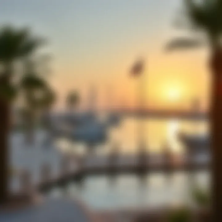 Scenic landscape of Umm Al Quwain Marina emphasizing its natural beauty and tourism potential