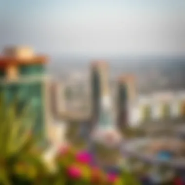 Panoramic View of Al Warsan A panoramic view of Al Warsan showcasing its modern architecture and vibrant community